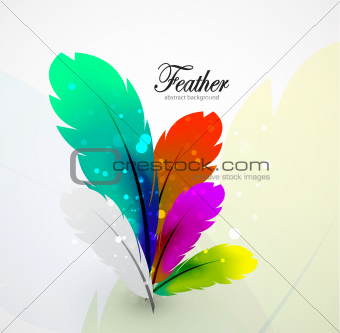 Vector color feathers abstract background