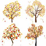 Set of four autumn tree