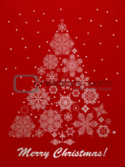Vector Christmas Greeting Card with Fir Tree 