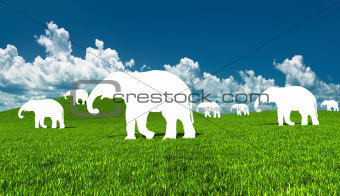 silhouettes of elephants