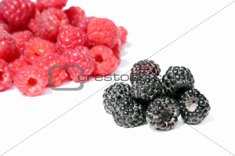 Black and red raspberries