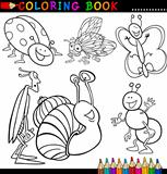 Insects and bugs for Coloring Book or Page