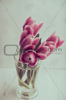 Tulips in a glass of water