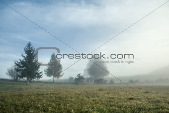 misty scenery