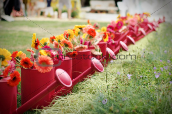 Watering cans with a row of red gerberas immediacy as an allegory of life
