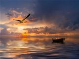 Seascape with boat and birds