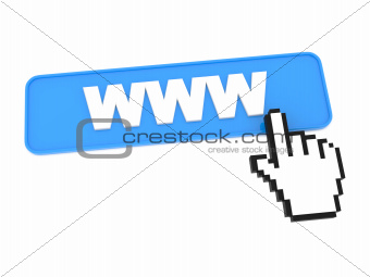 Blue Web Button with WWW on It