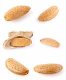 set almonds in shell