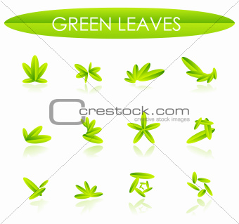 Abstract leaf compositions