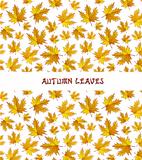 Vector autumn leaves background