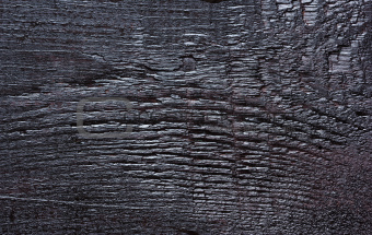 Dark wood texture.