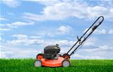 Lawn mower clipping green grass