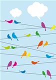 birds sitting on wire, vector background