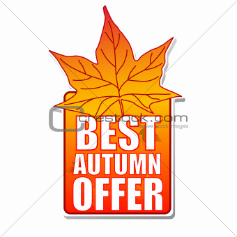 best autumn offer label with leaf