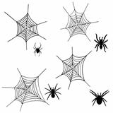 spider net set