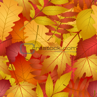 seamless with red and yellow autumn leaves.