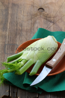 fresh fennel on a plate of clay on the table