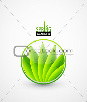 Green leaves spring concept