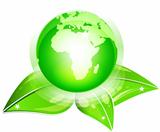 Global leaf green concept