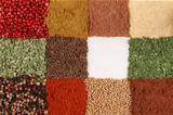 Colorful Spices forming a background