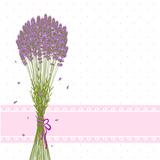 Purple Lavender Flower Greeting Card