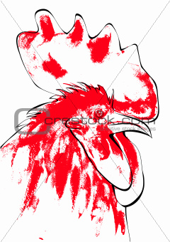 Rooster, vector illustration