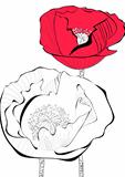Stylized Poppy flower illustration
