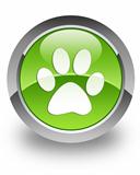 Animal footprint glossy icon