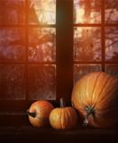 Different sized pumpkins in window