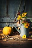 Garden shed with tools, pumpkin and flowers