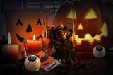 Pumpkins and candles for Halloween