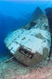 Bow of a large underwater shipwreck