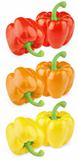 Set of colorful sweet peppers