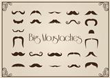 Mustaches collection