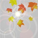 Autumn background with flying leaves