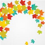 Autumn flying leaves with blank copy space