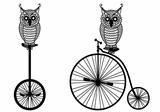 owls with old bicycle, vector 