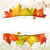 Background with leaves