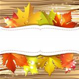 Wood background with leaves