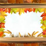 Frame with autumn colorful leaves