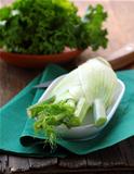 fresh fennel on a plate of clay on the table