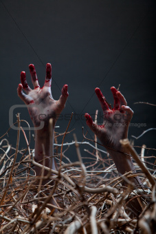 Zombie stretching his creepy hands from the grave