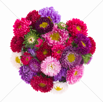 bouquet of aster flowers