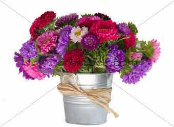 bouquet of aster flowers in vase