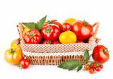 fresh tomatoes in the basket