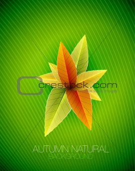 Autumn leaves concept. Vector nature background