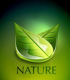 Nature green leaf concept