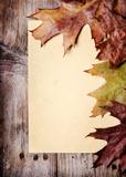 Vintage Paper and Autumn Leaves