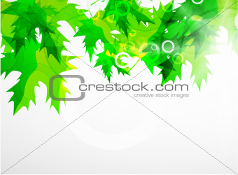 Vector abstract green leaf background