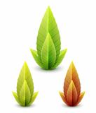Vector set of leaves - autumn and summer concept